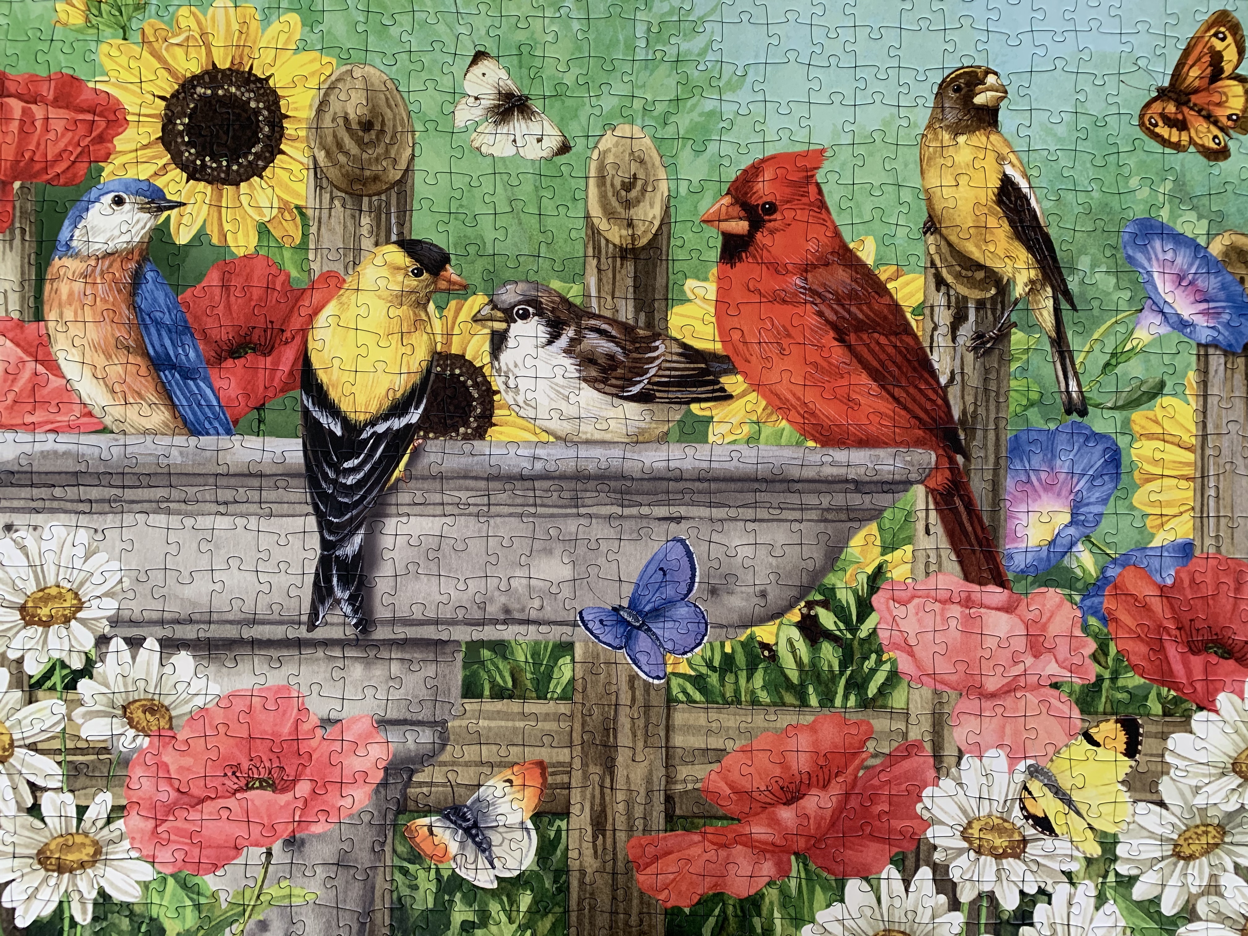 Some of our jigsaw puzzles